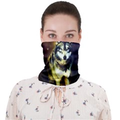 Starry Night Dark Paint Fox Print Seamless Face Mask Bandanas For Dust Outdoor by CoolDesigns