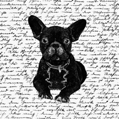 Cute Bulldog Canvas 12  X 12   by Valentinaart