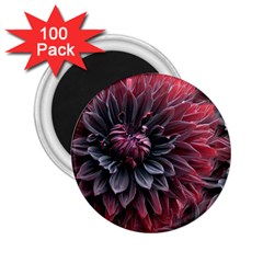 Flower Fractals Pattern Design Creative 2 25  Magnets (100 Pack)  by Sapixe