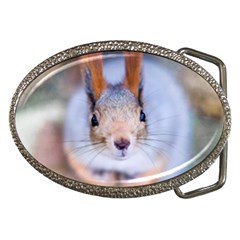 Squirrel Looks At You Belt Buckles by FunnyCow