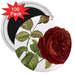 Rose 1077964 1280 3  Magnets (100 Pack) by vintage2030