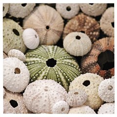 Sea Urchins Wooden Puzzle Square by TheLazyPineapple