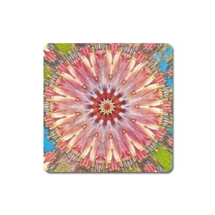 Pink Beauty 1 Square Magnet by LW41021