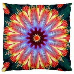 Passion Flower Large Flano Cushion Case (one Side) by LW323