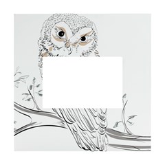 Owl Bird Wildlife Bird Of Prey White Box Photo Frame 4  X 6  by Modalart