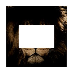 African Lion Mane Close Eyes White Box Photo Frame 4  X 6  by Ket1n9