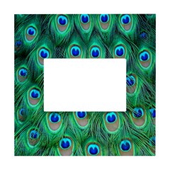 Feather, Bird, Pattern, Peacock, Texture White Box Photo Frame 4  X 6  by nateshop
