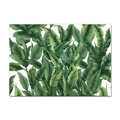 Tropical Leaves Sticker A4 (100 Pack) by goljakoff