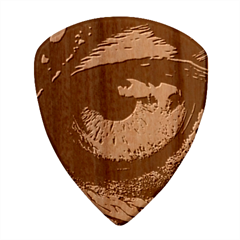 Eye Bird Feathers Vibrant Wood Guitar Pick (set Of 10) by Hannah976